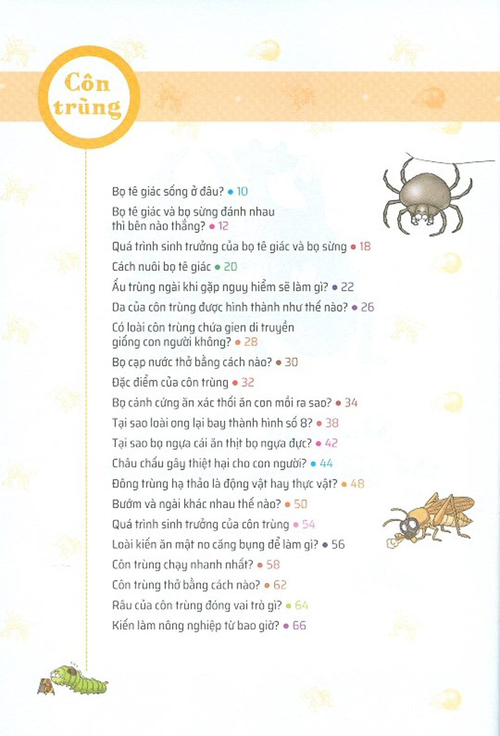 Quiz! Khoa Học Kì Thú - Côn Trùng