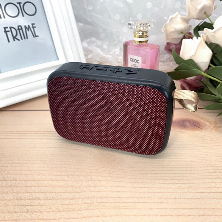 LOA BLUETOOTH MINI XÁCH TAY G2