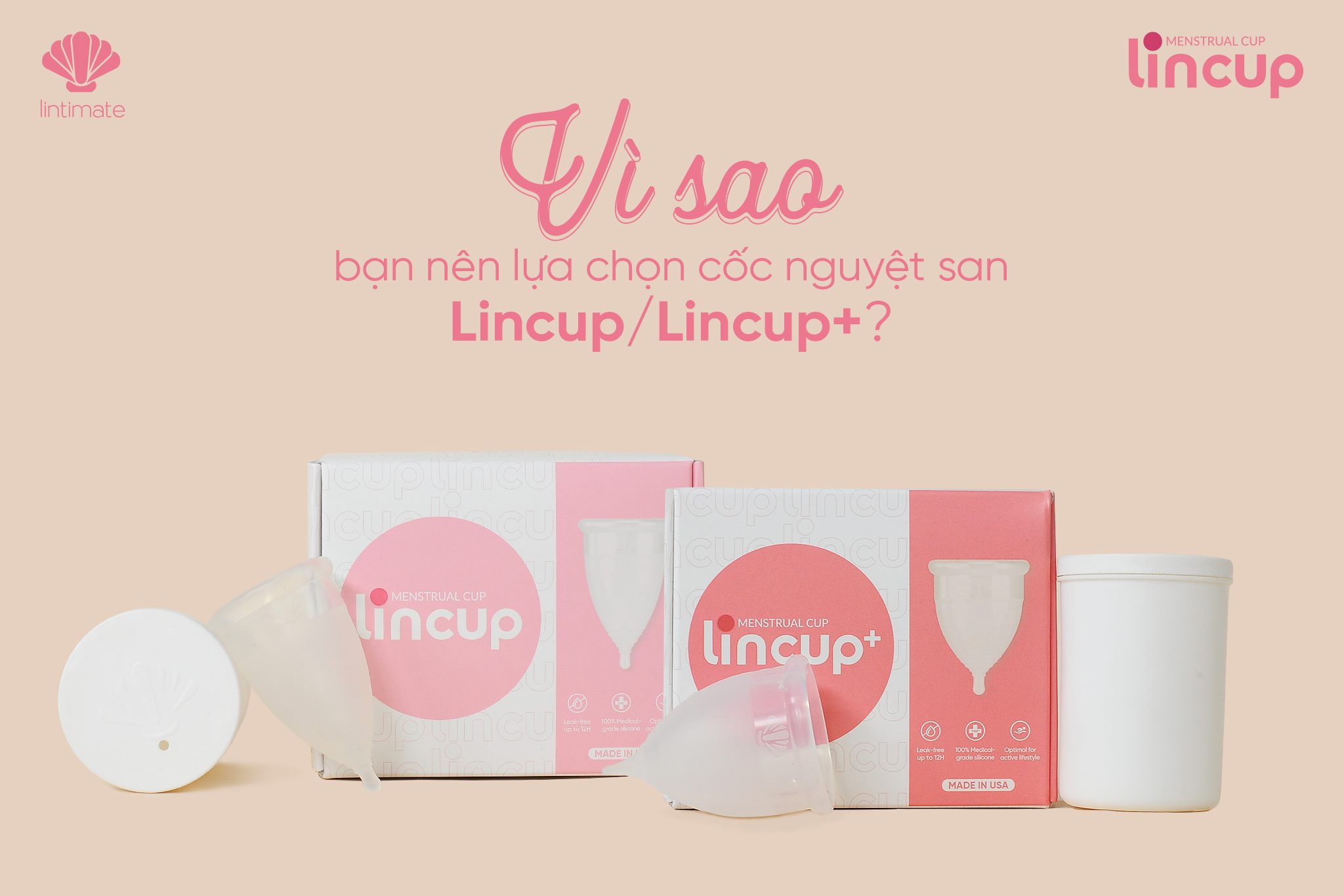 Cốc nguyệt sang lincup tang ddvs phu nu