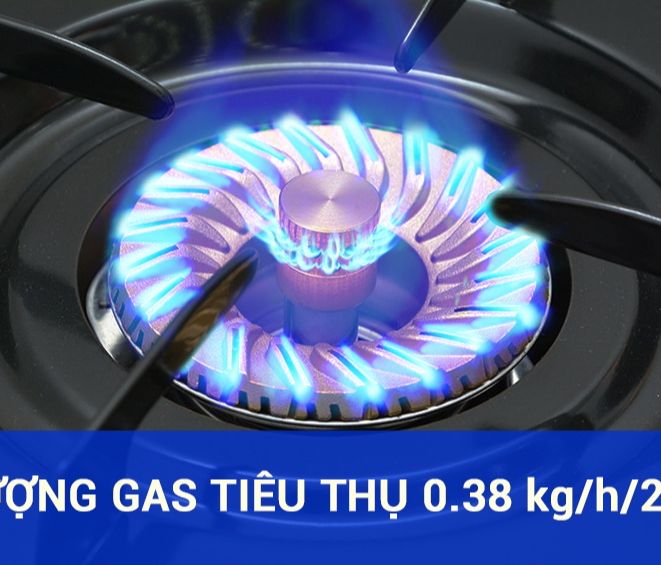 [BẾP GAS CHÍNH HÃNG]Bếp ga để bàn Rinnai RV-375(SW)N