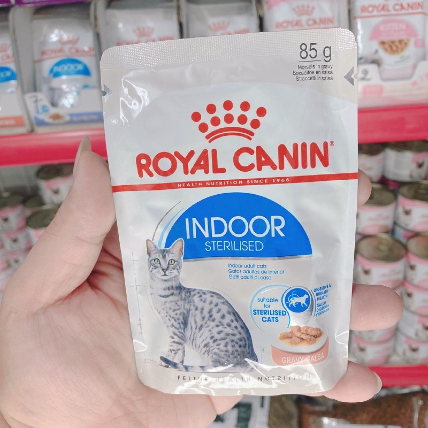 Pate ROYAL CANIN 85g FREE SHIP TRỌN BỘ 30 vị