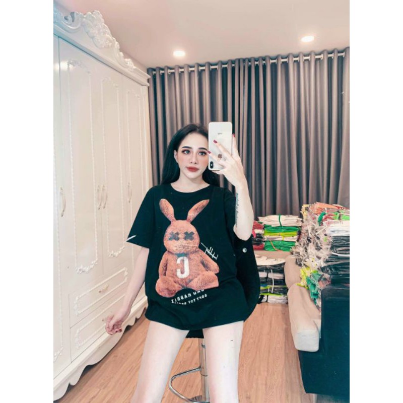 Áo phông gấu nelly siêu đẹp