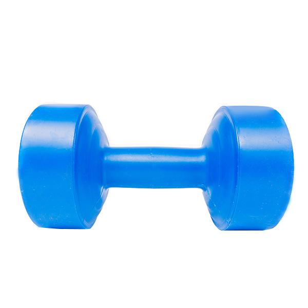 Tạ tay nhựa VN 4kg (Xanh dương)