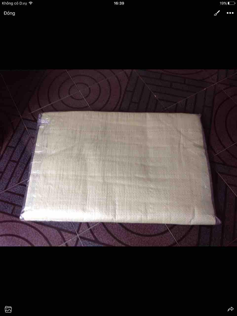 [HCM]Nệm Chiếu PE (120cm X 1.95cm)