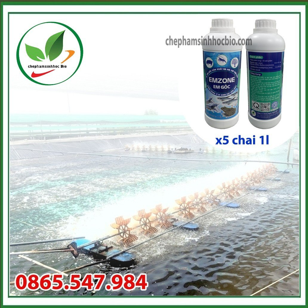 Chế phẩm sinh học EM gốc - Emzone. Can 5l