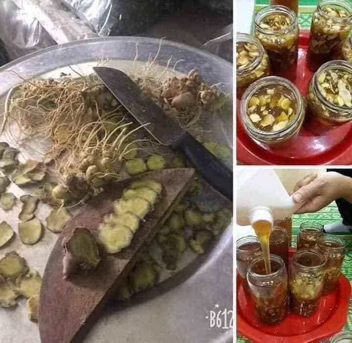 TAM THẤT BẮC TƯƠI NGÂM MẬT ONG RỪNG(950k/1,8kg cả bình nhựa)