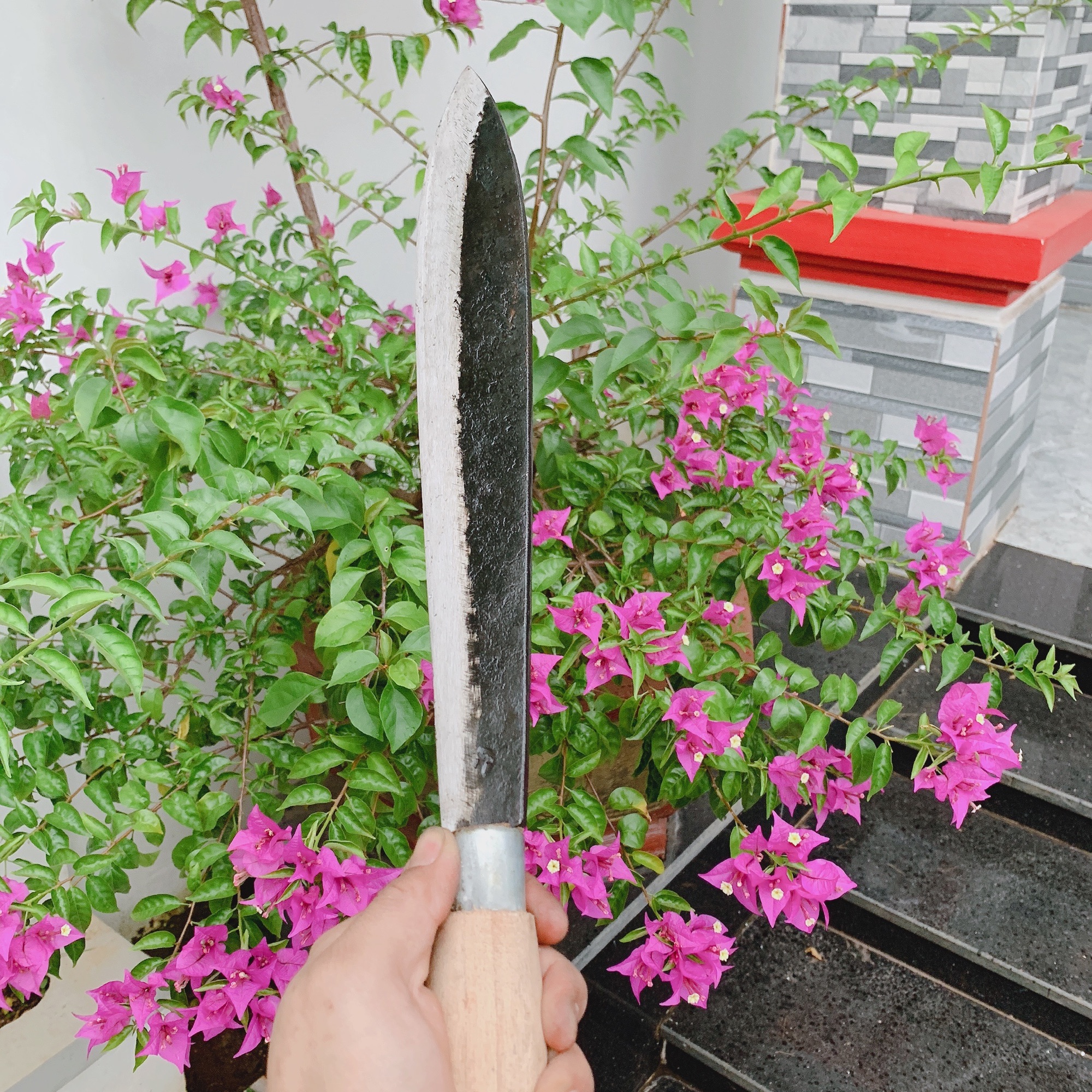 Dao chặt nhọn cỡ to