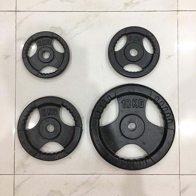 Tạ miếng gang đen 10kg