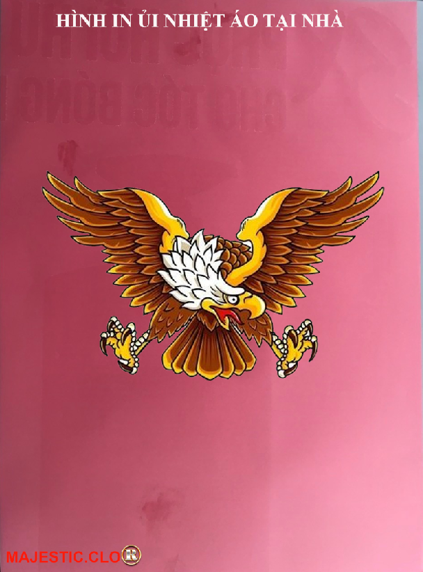 Sticker Logo American Eagle FOR IRON CLOTHER