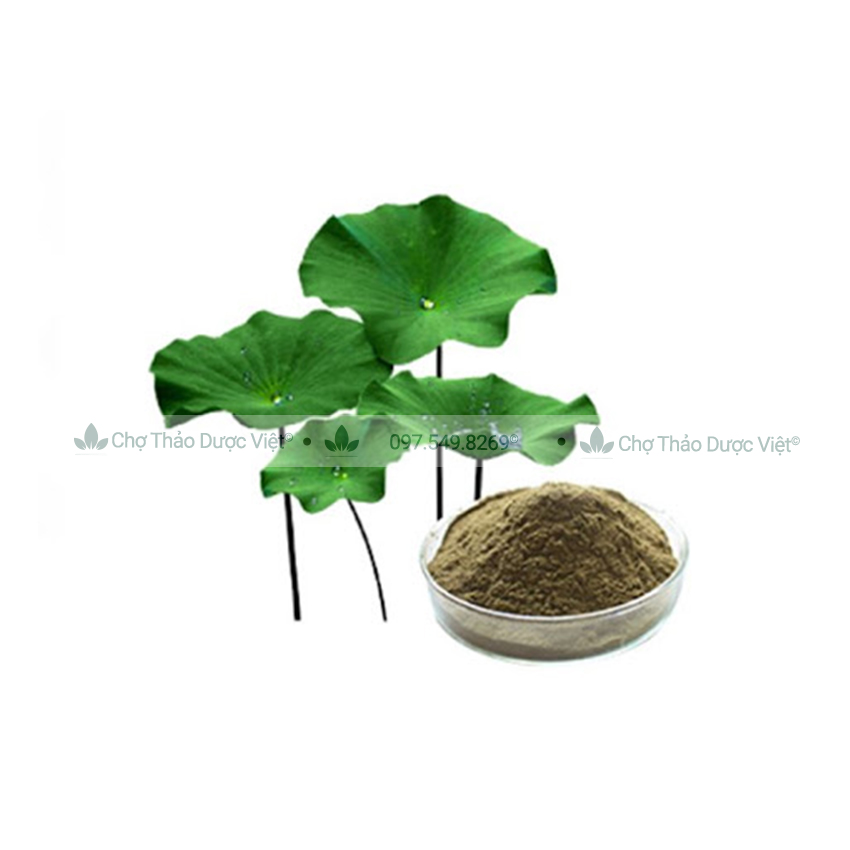 Bột lá sen nguyên chất 100g (Hỗ trợ giảm mỡ máu, thanh lọc cơ thể, an thần) - Chợ Thảo Dược Việt