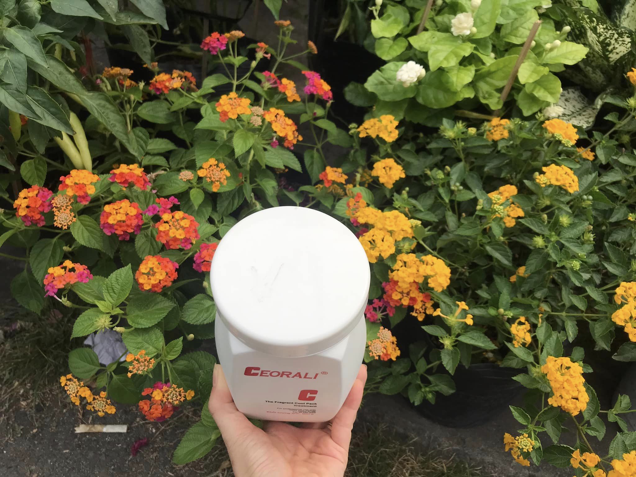 Hấp tóc hoa Lài Ceorali 900 gram thơm mượt tóc