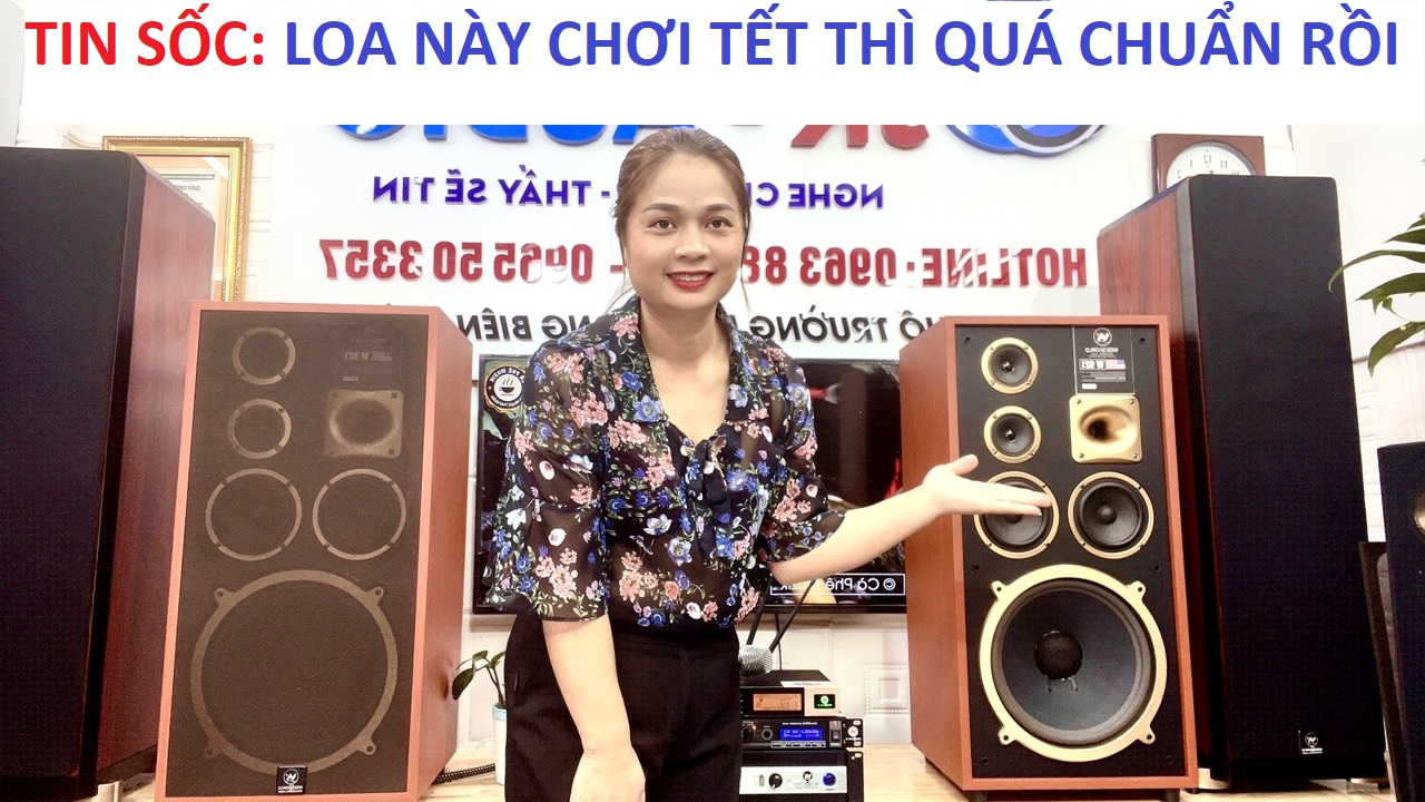 Bộ dàn Karaoke gia đình W921
