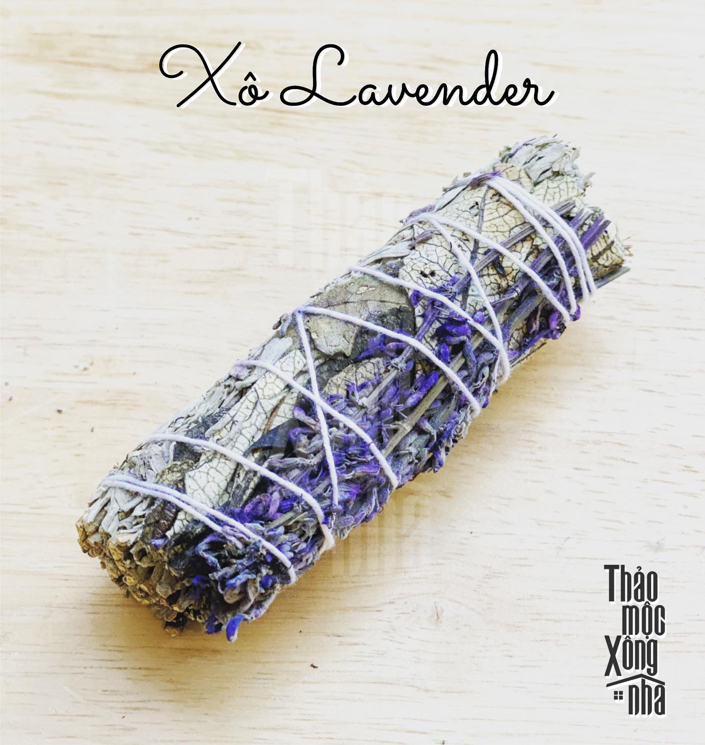 Xô tím - Lavender Sage - Thảo Mộc Xông Nhà