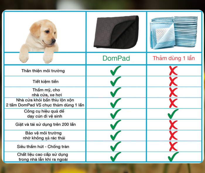 Thảm dạy cún đi vệ sinh DomPad - WorldMart