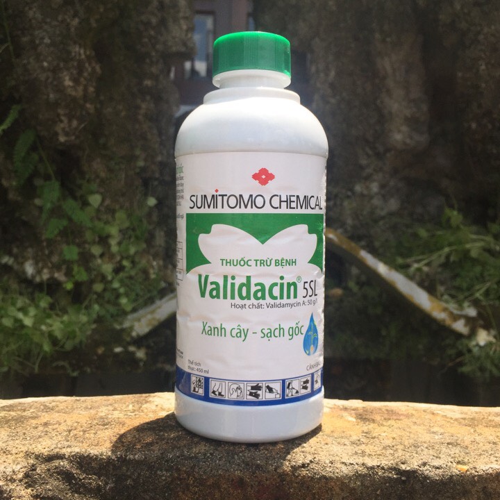 Validacin 5SL 450ml trừ nấm bệnh héo cây con
