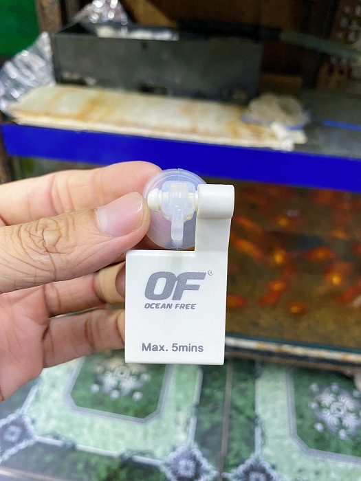 "Hoàn tiền đến 10%" KÍNH SOI CÁ BETTA OCEAN FREE
