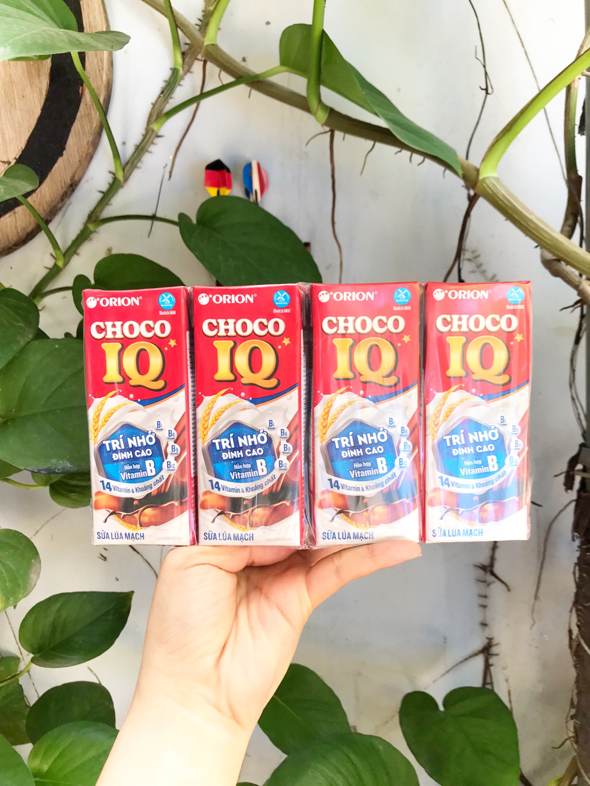 Sữa Lúa Mạch Choco IQ Và Sữa Chua Uống Lên Men ORION Proyo! (Lốc 4 Hộp - Lớn)