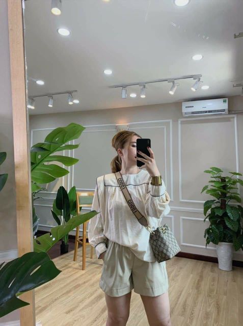 Cây lá rùa phong thủy trang trí nhà cửa