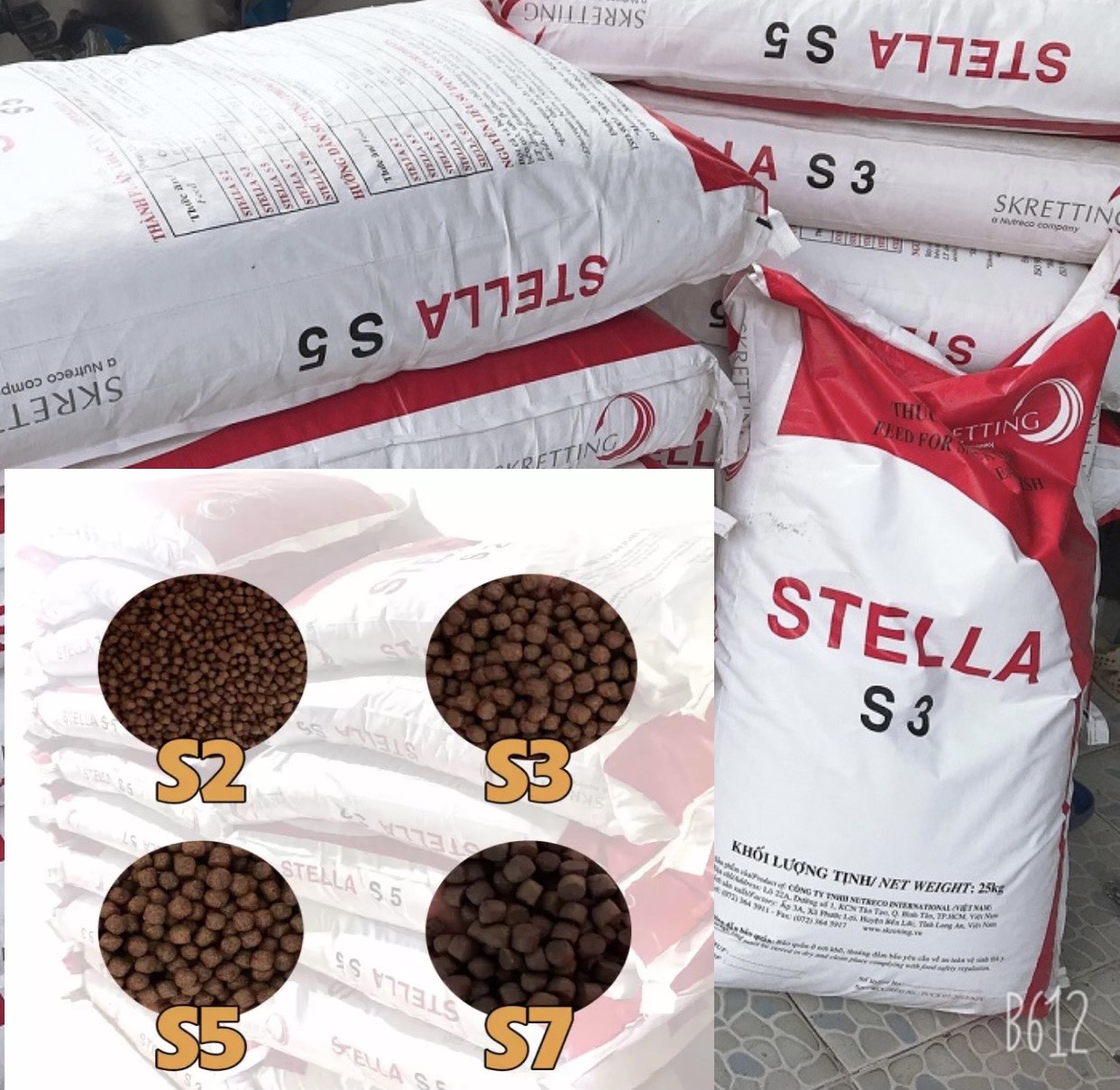 [Freeship+HCM+Luckyfish94] THỨC ĂN CÁ KOI, CÁ 3 ĐUÔI STELLA SIZE S2 GÓI CHIẾT 0.5KG VÀ 1KG A034 . HÀM LƯỢNG PROTEIN CAO GIÚP TIÊU HÓA TỐT VÀ GIÚP CÁ PHÁT TRIỂN NHANH CHỐNG.