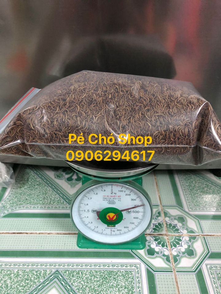 Sâu gạo rang khô cho hamster,gà,chim,nhím,sóc ,..