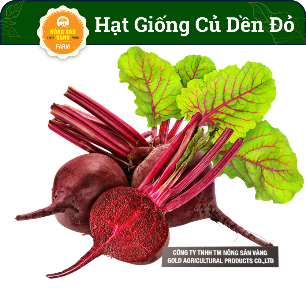 Bulbs seeds red amaranth, tuber round high, shell color, dark purple, meat bulbs make, deep Red, with a sweet taste, slightly bitter -shallow gold