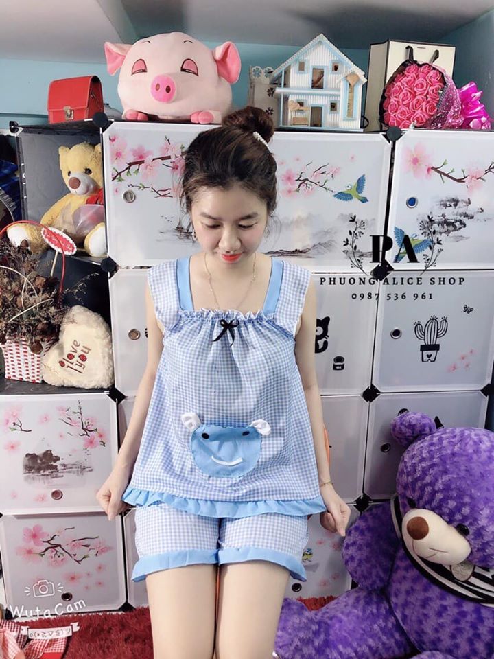 com bo giá sỉ 3 bộ đùi mặc nhà màu lộn xộn