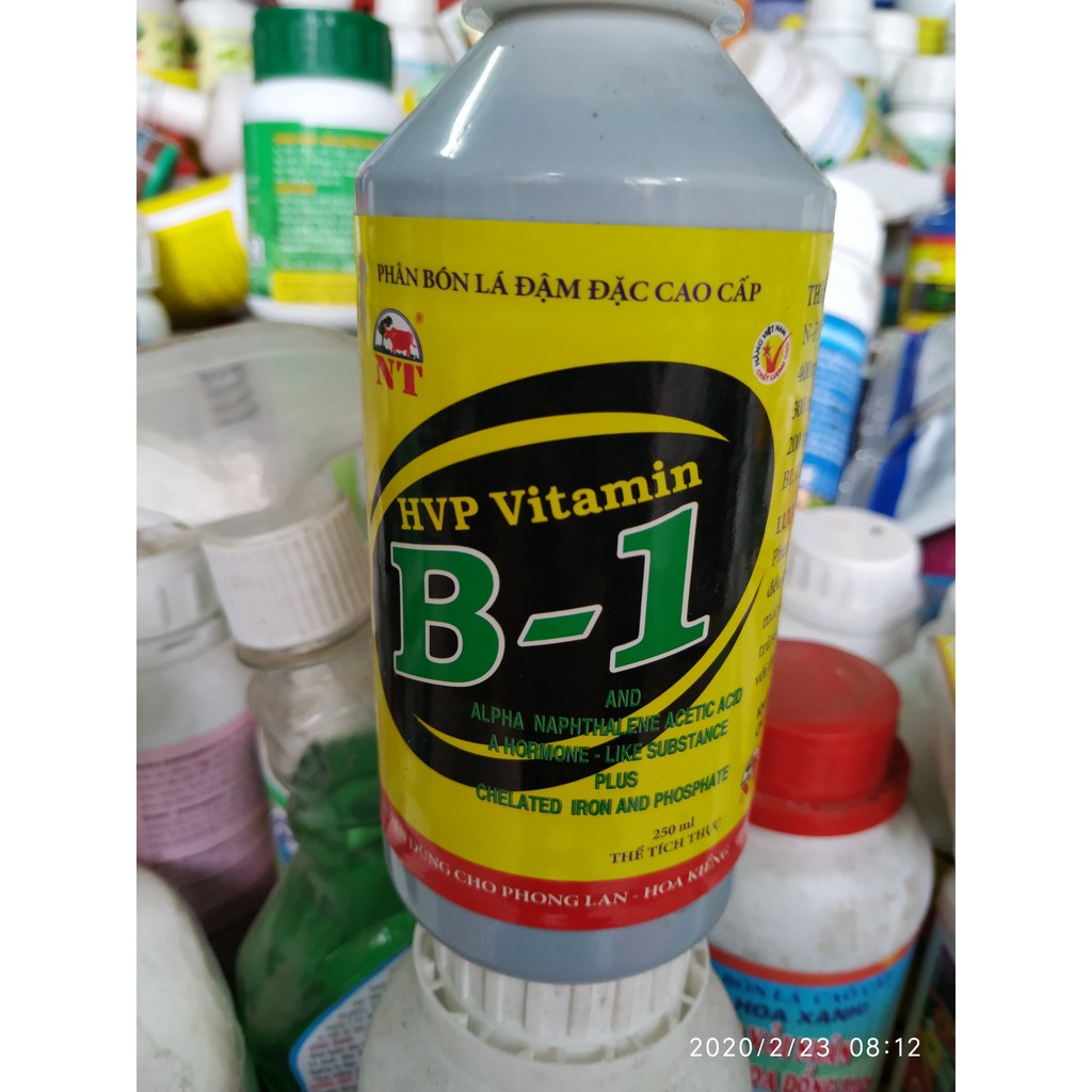 Phân bón đậm đặc hvp vitamin b1 cho phong lan 250ml