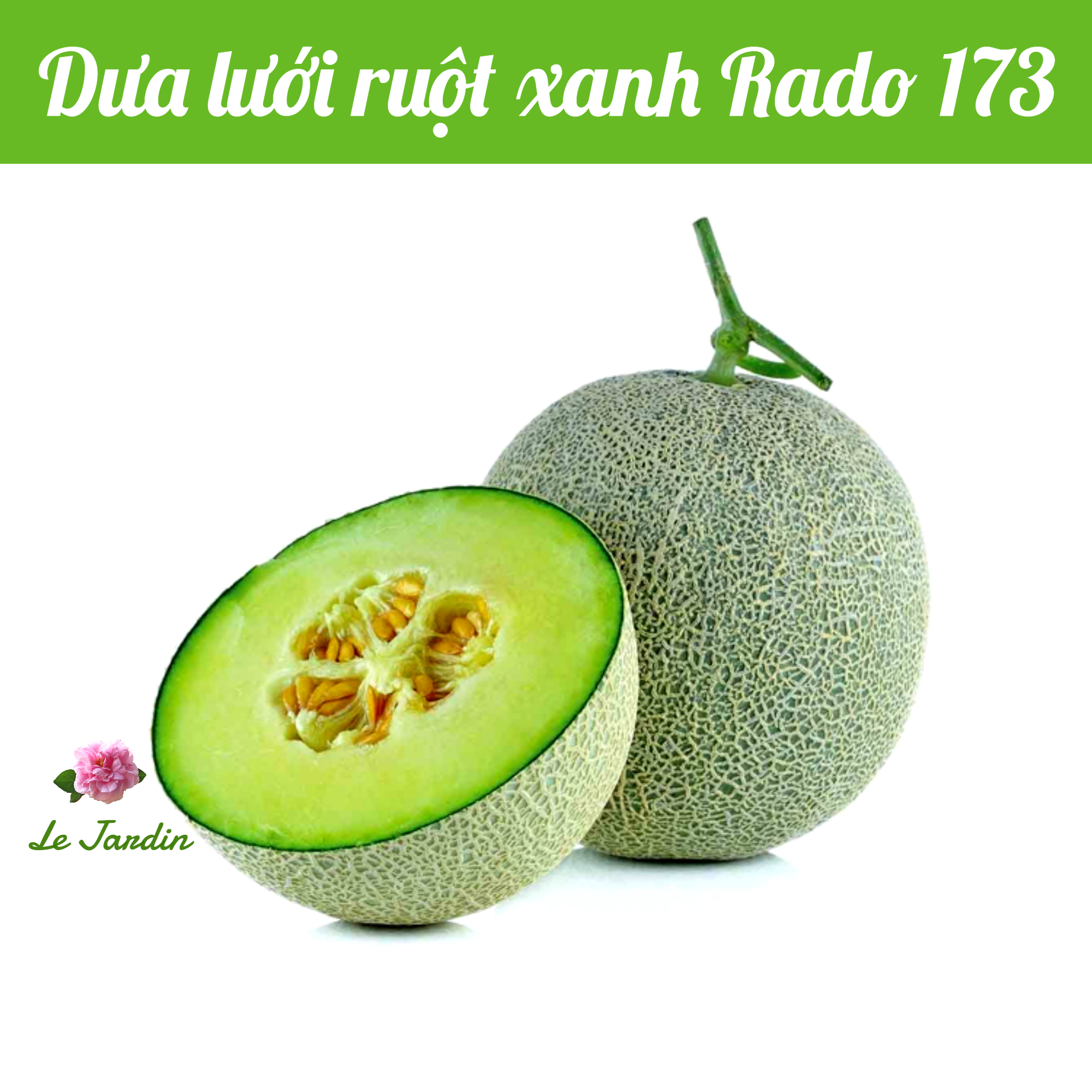 Green Cantaloupe Seeds 10 seeds package