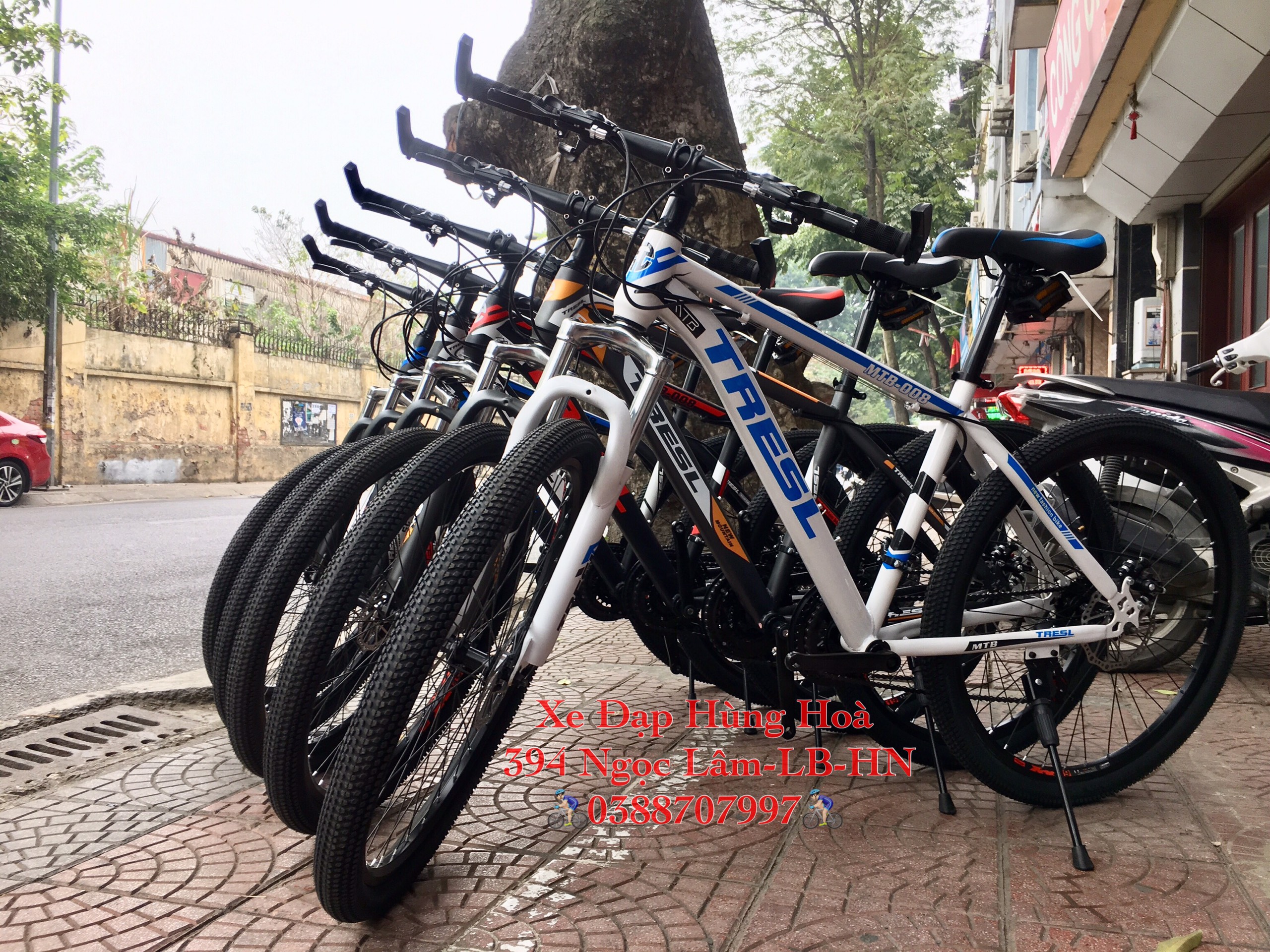 Xe đạp thể thao Tresl