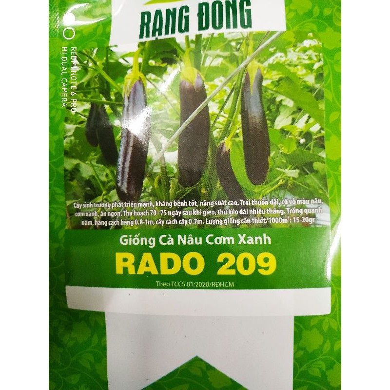 Hạt giống cà nâu cơm xanh gói 0.5gr