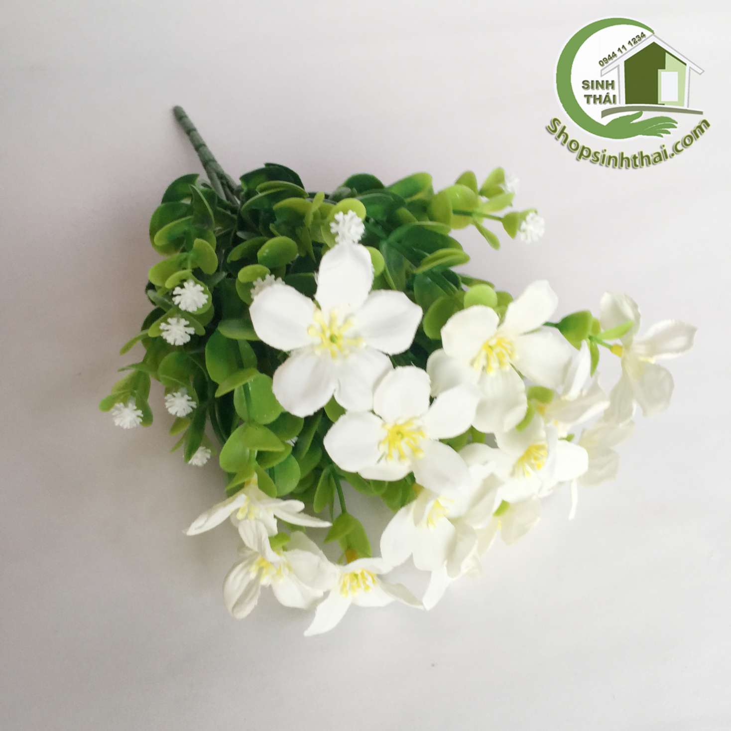 [HCM]Bụi cây hoa lài tây màu trắng cao 33cm [ Tổng kho ]