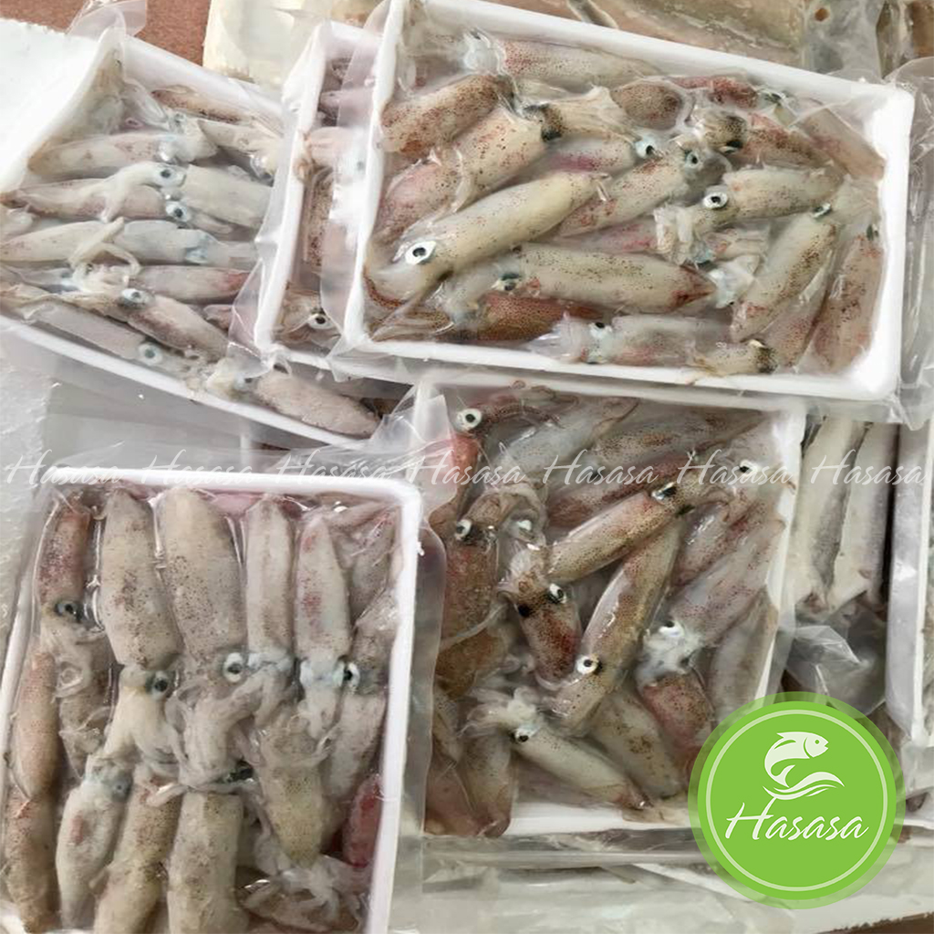 Mực sữa Phan Thiết - vỉ 500gram ( 15-20con/500gram)