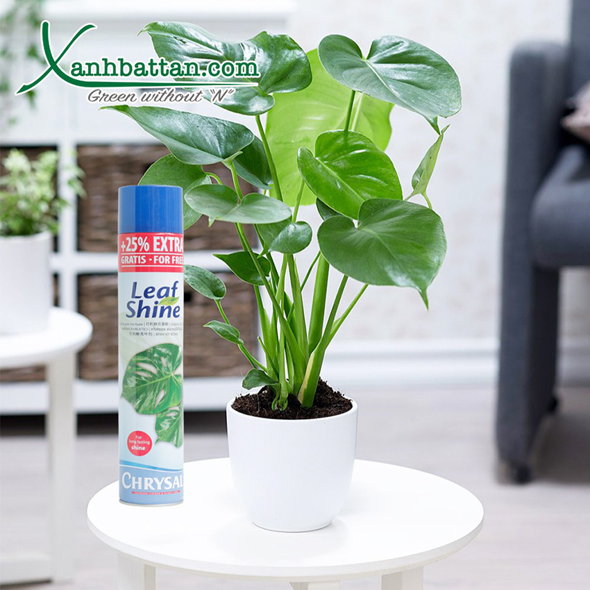 Xịt Bóng Lá Cho Cây Kiểng Leafshine Crystal 750 ml