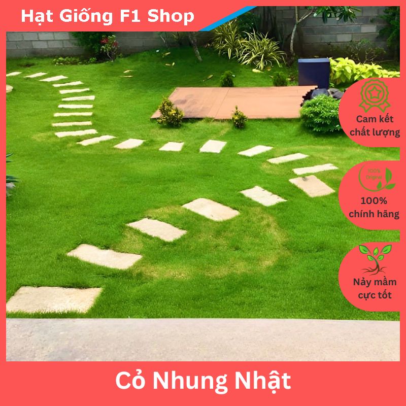 Hạt Giống Cỏ Nhung Nhật Trồng Thảm Sân Vườn