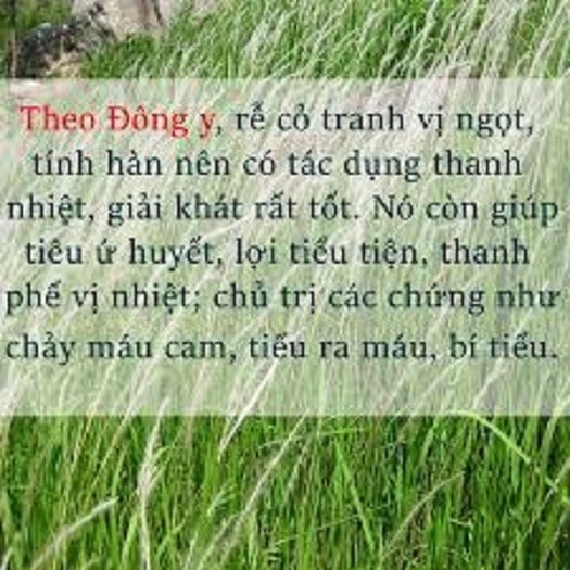 Rễ Cỏ Tranh Sấy Khô 500g