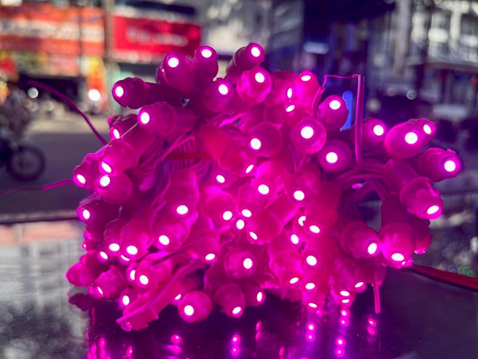 LED ĐÚC F5 - 12V ( 1 DÂY 50 CON)