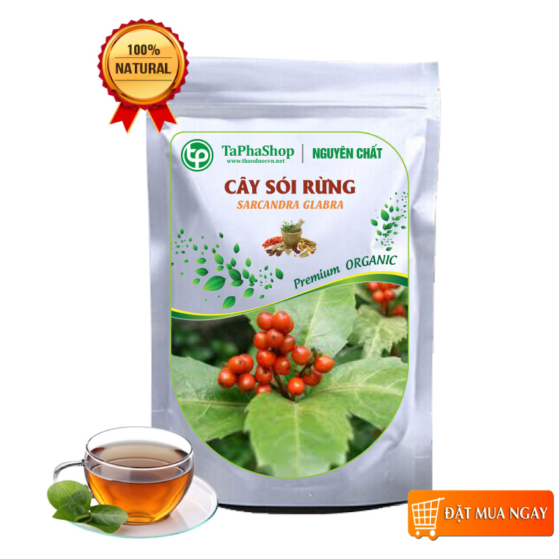 Cây sói rừng khô 500g - tấn phát