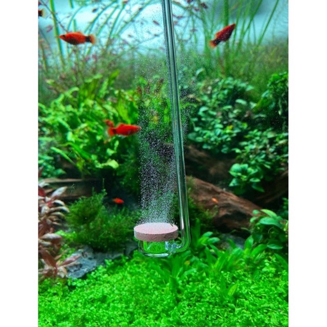 Cốc Sủi CO2 NEO Siêu Mịn AQUARIO DIFFUSER - Normal Special