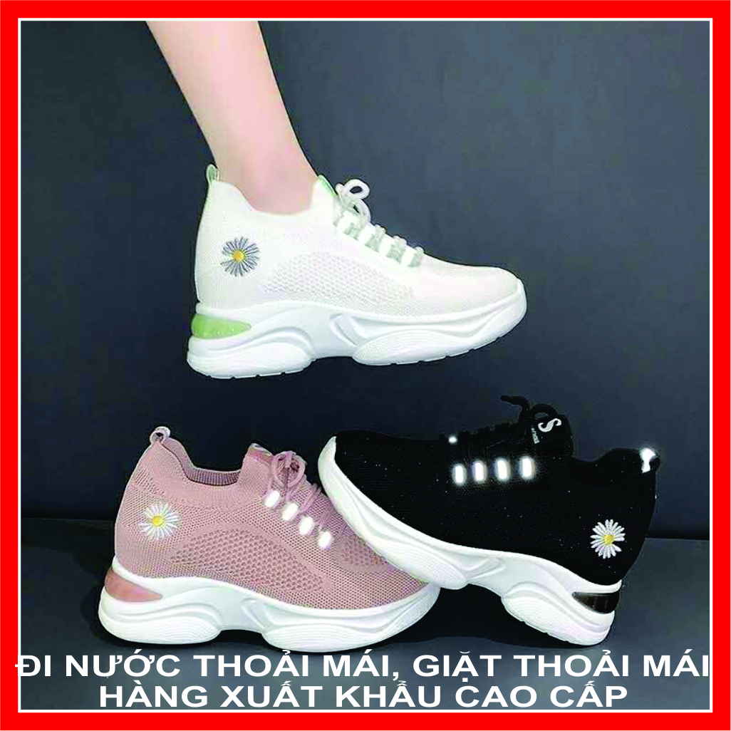 Giày thể thao độn đế cao cấp siêu nhẹ cao 7 phân hàng xuất