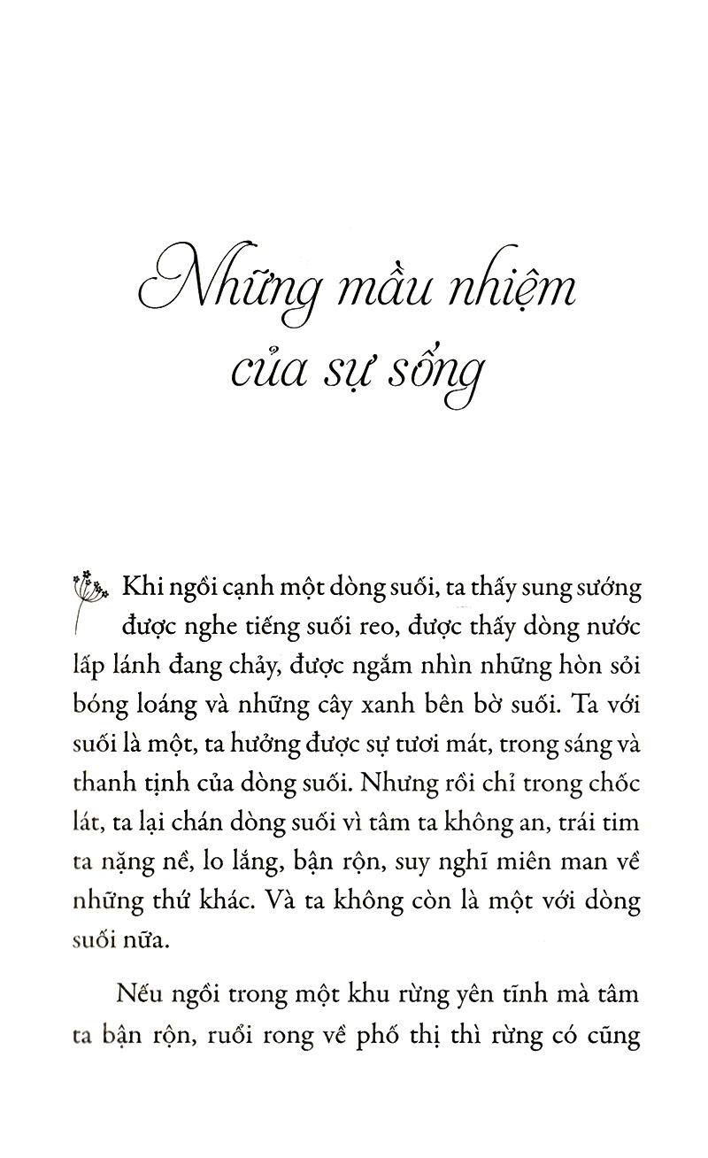 Hạnh Phúc Cầm Tay