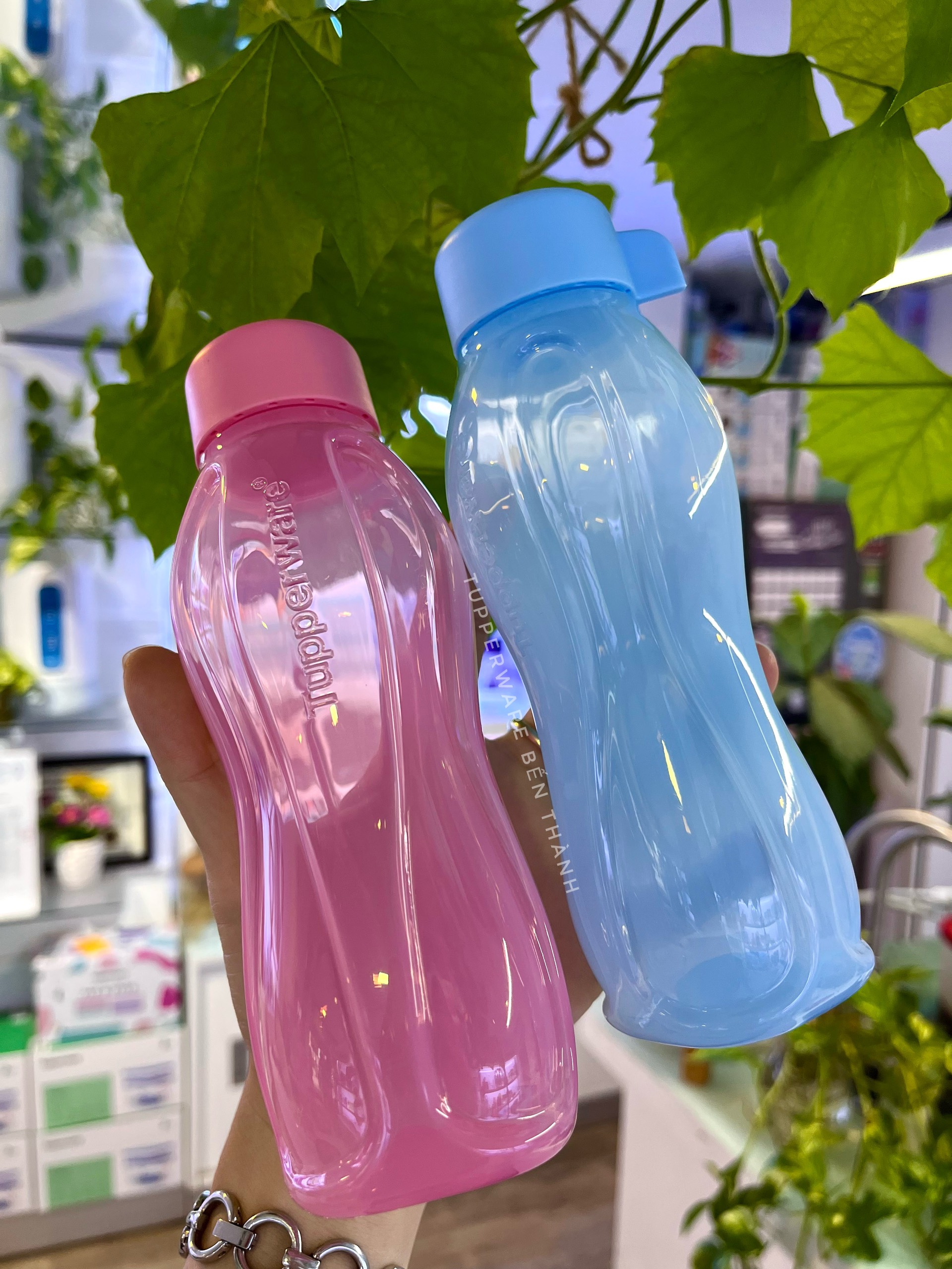 Bình Nước Eco Bottle 310ml - Tupperware