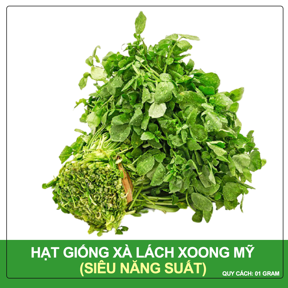 Hạt giống xà lách xoong mỹ phú nông gói 1 gram