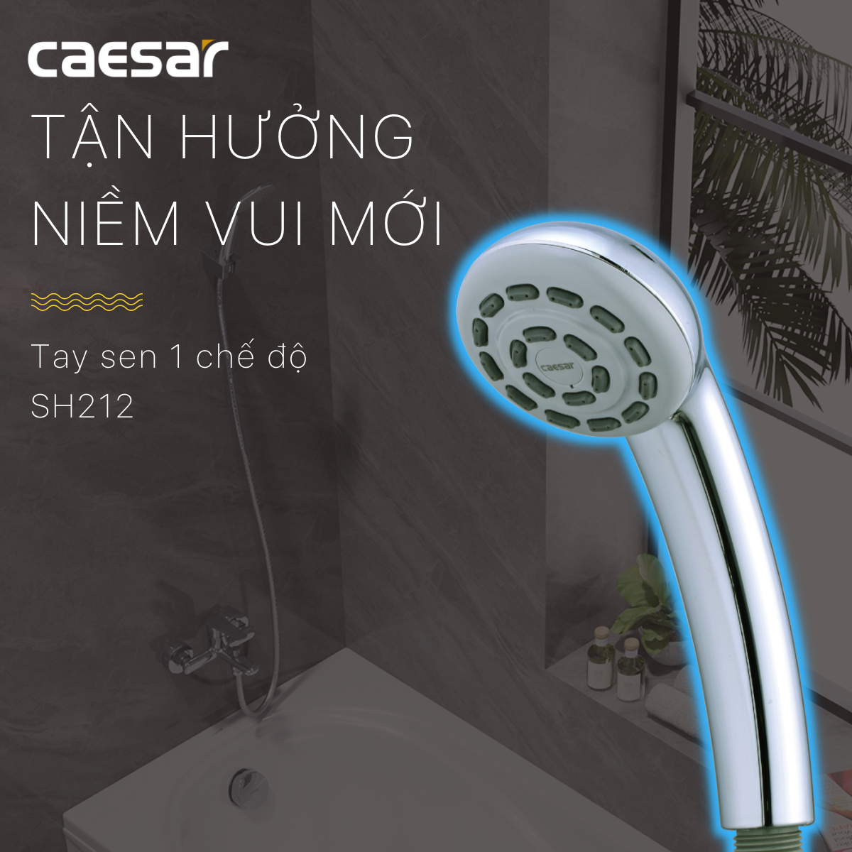 Tay Sen 1 Chức Năng CAESAR SH212