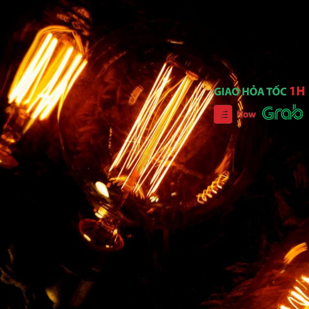 Bóng Đèn Edison G95 Amber Sợi Đốt Cao Cấp [Giá Cực Rẻ]