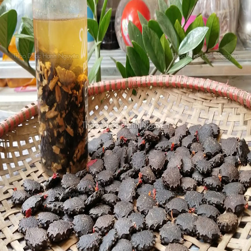 Dried Gac Seeds 500g