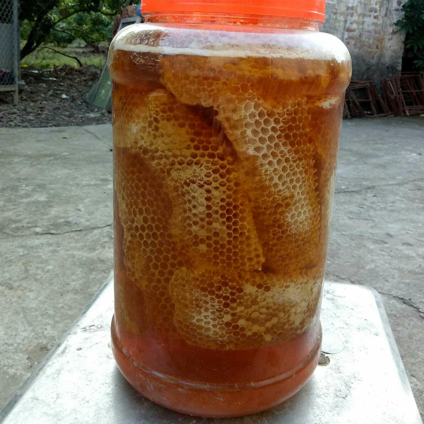 1kg Mật ong rừng nguyên sáp