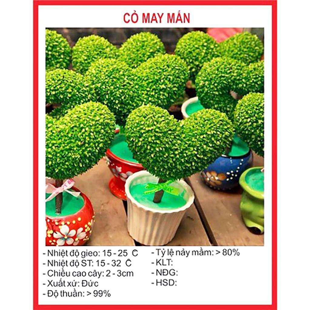 Hạt giống cây cỏ may mắn