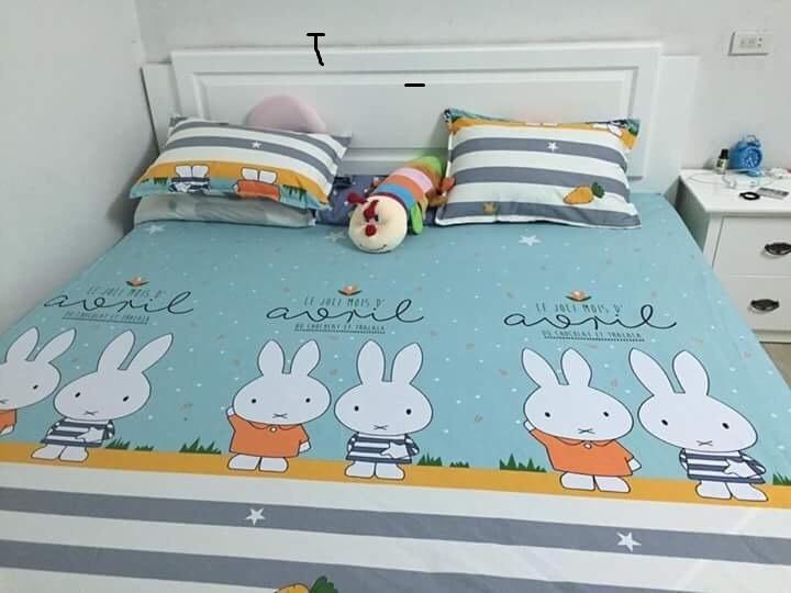 Ga chống thấm Goodmama 1.8x2m đệm 10cm