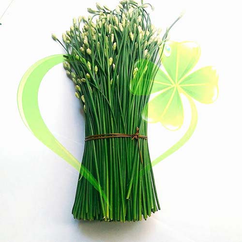 Hạt giống hẹ ăn bông - gói 1 gram