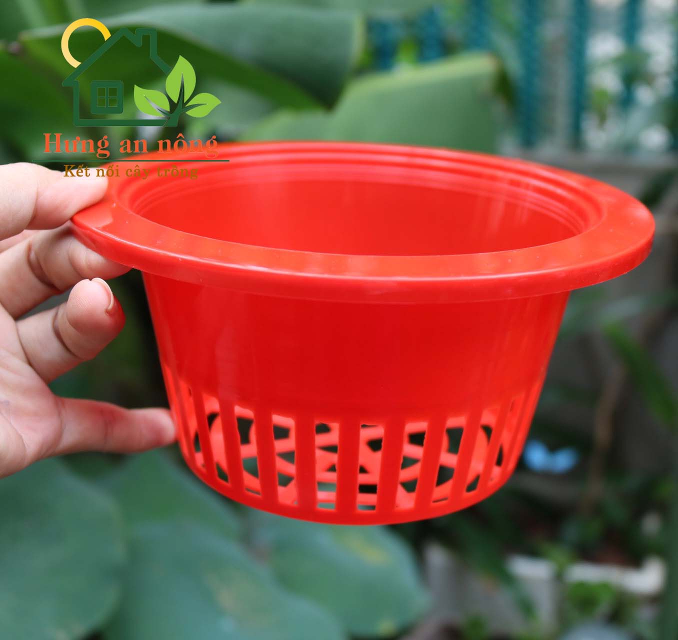 Các loại rọ lớn trồng thuỷ canh cây thuỷ sinh nhựa cao cấp ( xem trong mô tả )